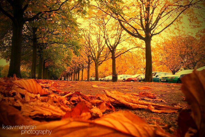 Autumn in Hampstead by Ksav Maharjan 